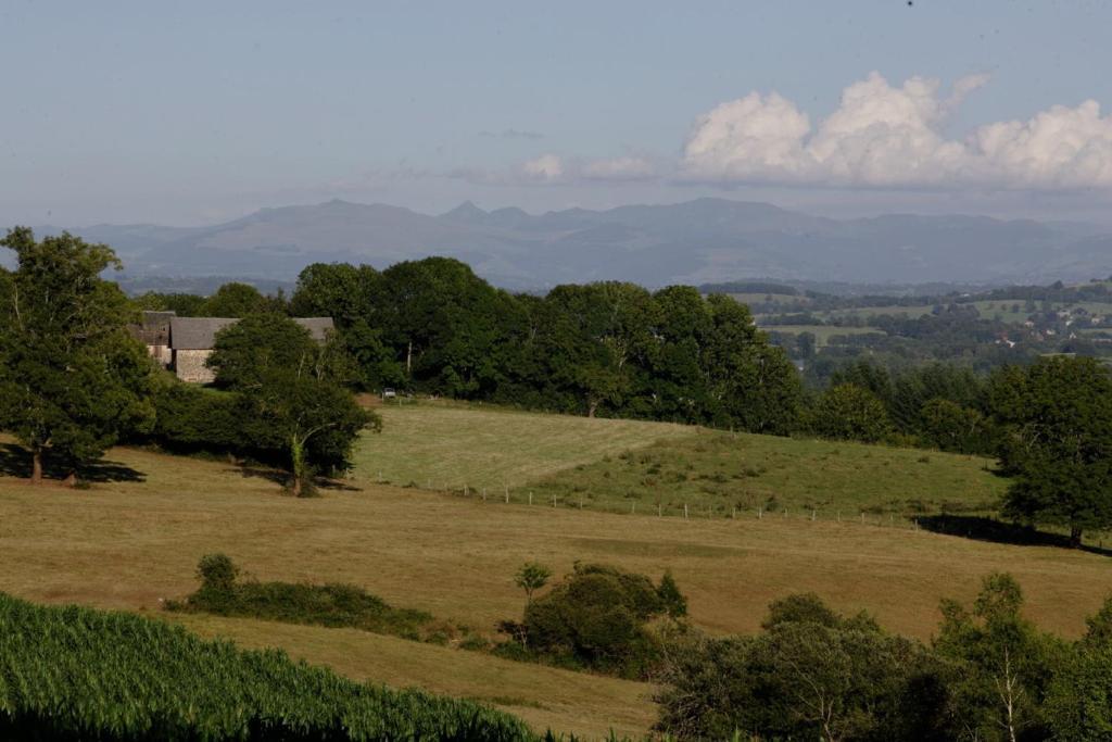 Auberge De Saint Julien Aux Bois Esterno foto