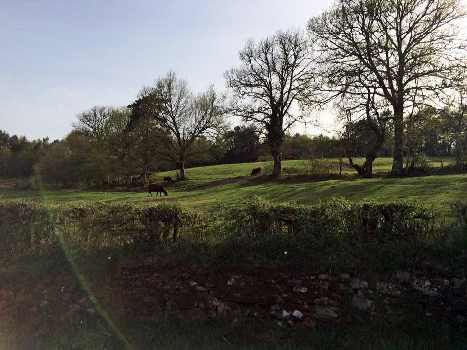 Auberge De Saint Julien Aux Bois Esterno foto