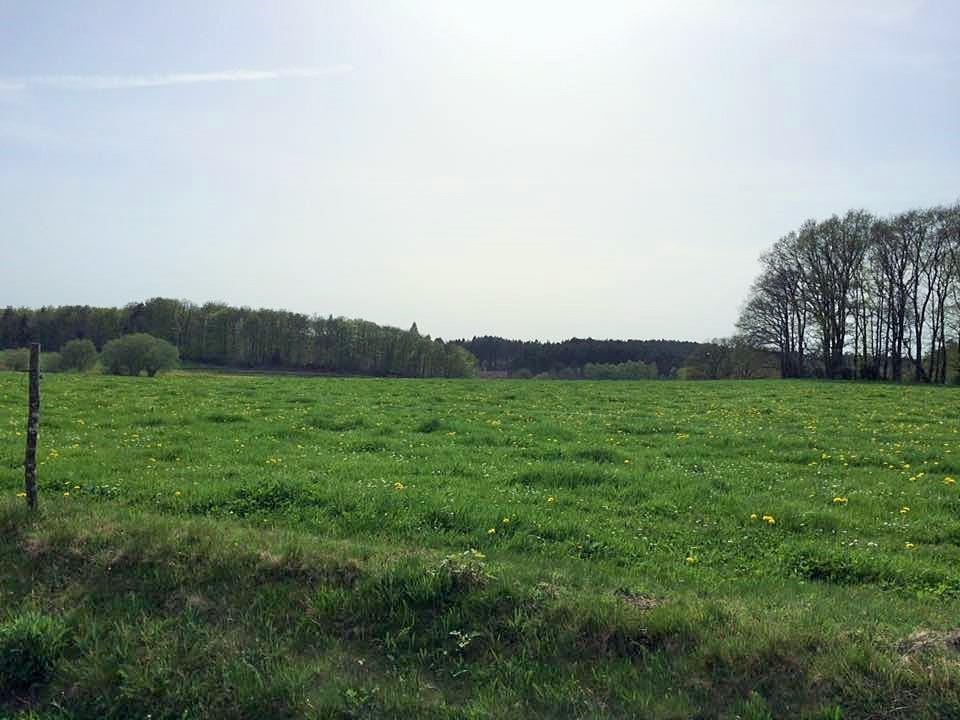 Auberge De Saint Julien Aux Bois Esterno foto