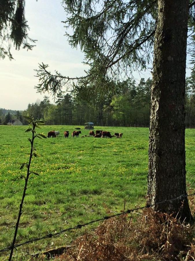 Auberge De Saint Julien Aux Bois Esterno foto